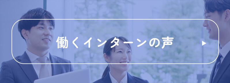 voice_btn